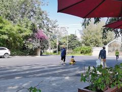 -范饭椰林川湘味海鲜·椰子鸡(三亚湾椰梦长廊店)