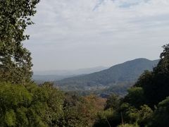 -韬光茶庵