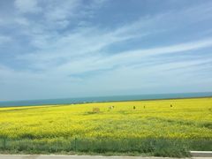 -青海茶卡盐湖文化旅游发展股份有限公司