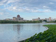 -莲花池公园