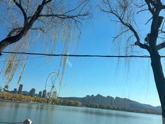 -济南国际园博园