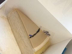 -Lady M(沙田新城市广场店)