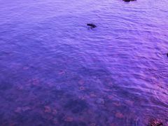 -青岛第三海水浴场