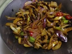 -丁老爷子苏香圆