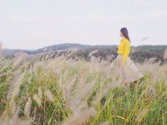 -恋山坝上草原