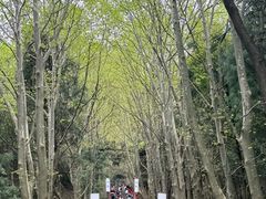 -窦圌山风景区