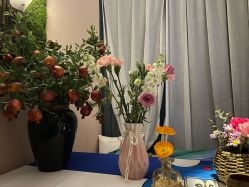 -琦品高端美容SPA会所