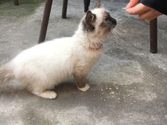 -老屋咖啡