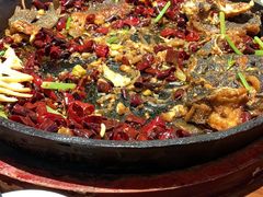 老板恋上鱼-老板恋上鱼(恒隆广场店)