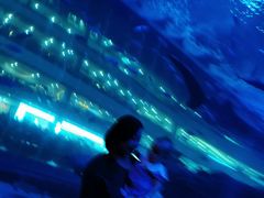 -成都浩海立方海洋公园