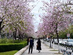 -花都广场