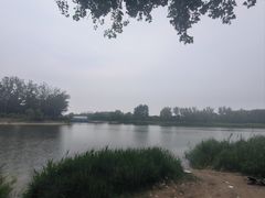 -天津武清北运河郊野公园房车露营地