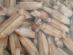 -老地方农家菜(昌黎一店)
