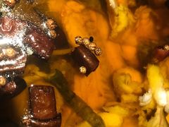 -鑫巴蜀(和平里店)