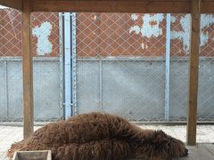 -长白岛森林公园