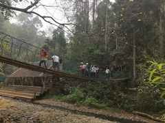 -西双版纳原始森林公园