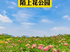 -麗枫酒店(深圳机场福永地铁站店)