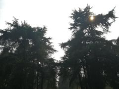 -南京航空航天大学(明故宫校区)