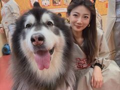 -和它·交个朋友·狗咖猫咖(爱琴海店)