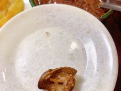 -杨家吊炉饼(沈阳总店)