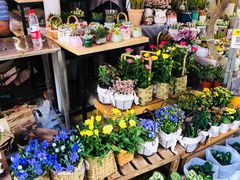 -循礼门鲜花花市(武汉循礼门店)