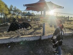 -呼兰河口湿地公园