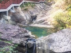 -广州白江湖森林公园