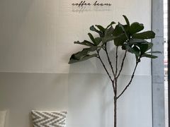 -red donkey coffee