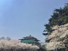 -武汉大学-樱园