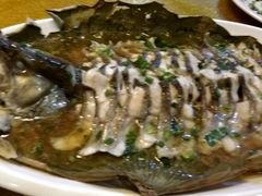 -呼吸森林·生态农庄农家乐私房菜