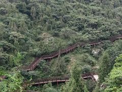 -皇藏峪国家森林公园
