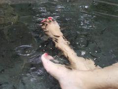 -三亚珠江南田温泉度假区