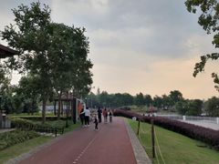 -上海山野camping·户外天幕烧烤·团建拓展营地