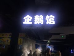 -重庆欢乐海底世界