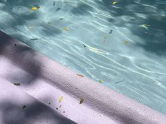-九龙公园