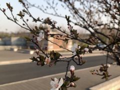 -苏州卫生职业技术学院(石湖校区)