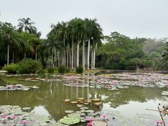 -中国科学院西双版纳热带植物园