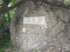 -阳台山自然风景区
