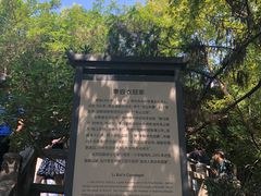 -采石矶景区