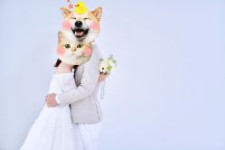 点击看大图 -金夫人婚纱摄影(华南店)