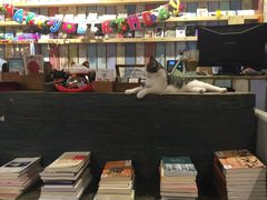 -小时光咖啡馆(开森度假森林店)