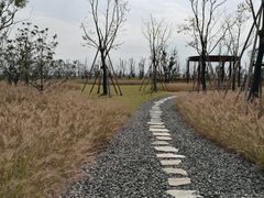 -春花秋色城市公园