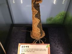 -信不信由你博物馆