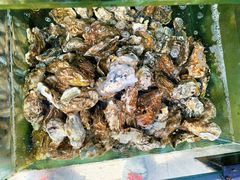 -四海鲜渔家菜(黄金海岸店)
