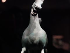 -甘肃省博物馆