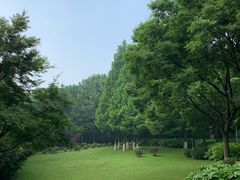 -上海市保健医疗中心