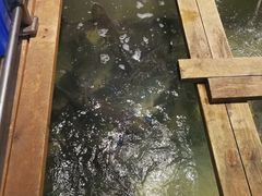 -焯明脆肉鲩世家(金沙洲店)