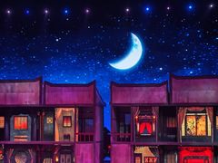 -《驼铃传奇》秀