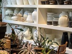 -自由生长植物工作室(深港花卉中心店)