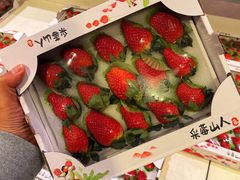 -盒马鲜生(大成店)